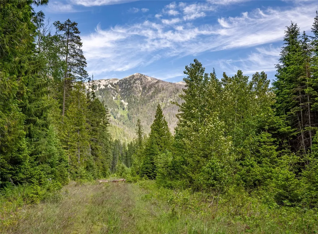 189 Blue Creek Road Heron MT 59844