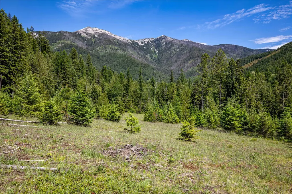 189 Blue Creek Road Heron MT 59844
