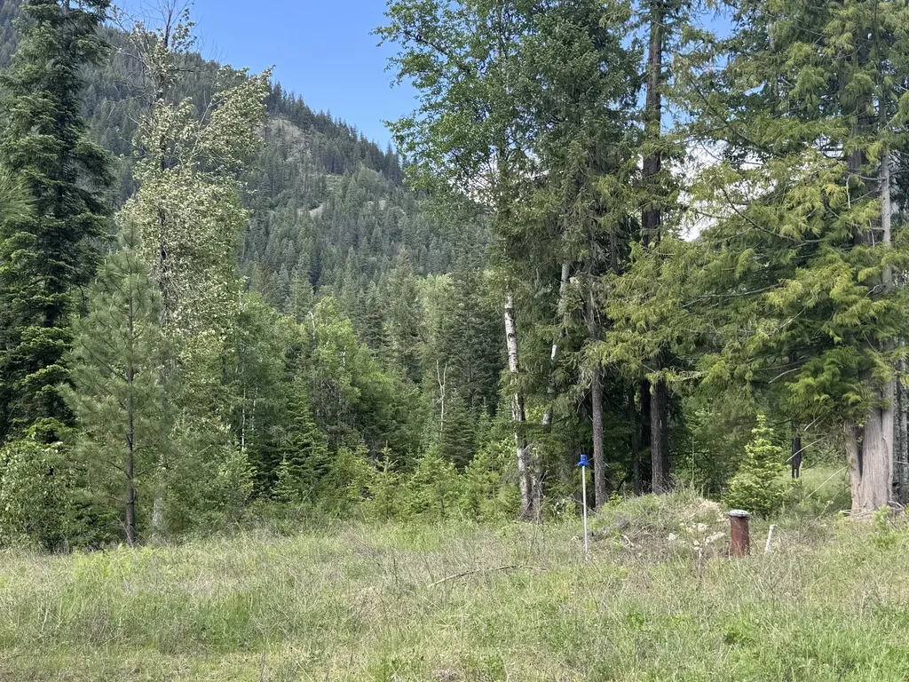 189 Blue Creek Road Heron MT 59844