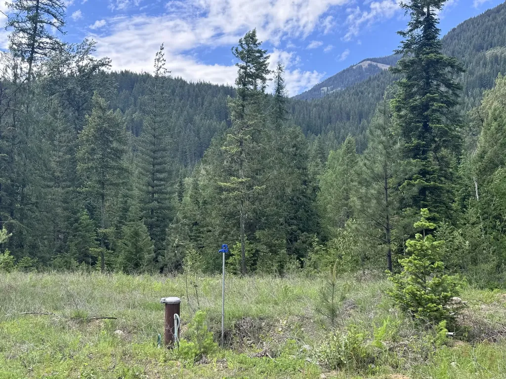 189 Blue Creek Road Heron MT 59844