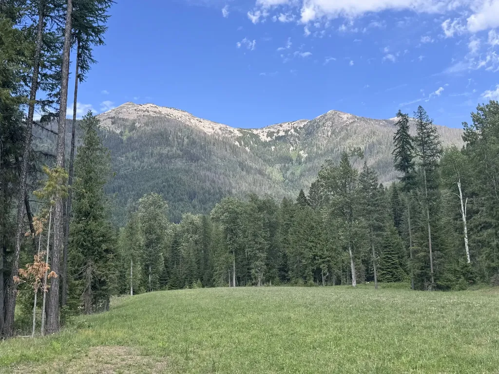 189 Blue Creek Road Heron MT 59844