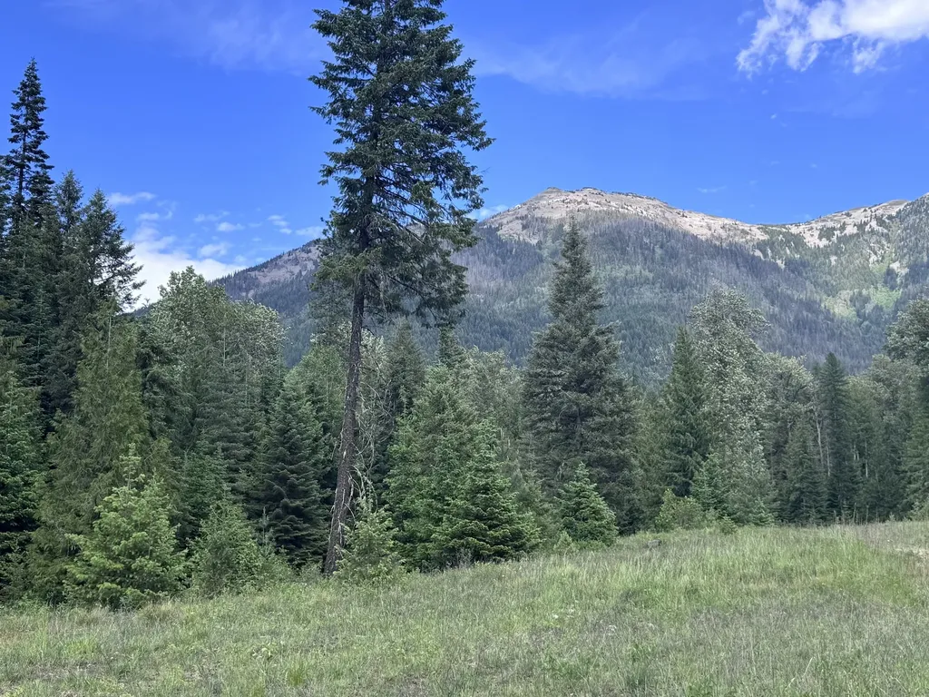 189 Blue Creek Road Heron MT 59844