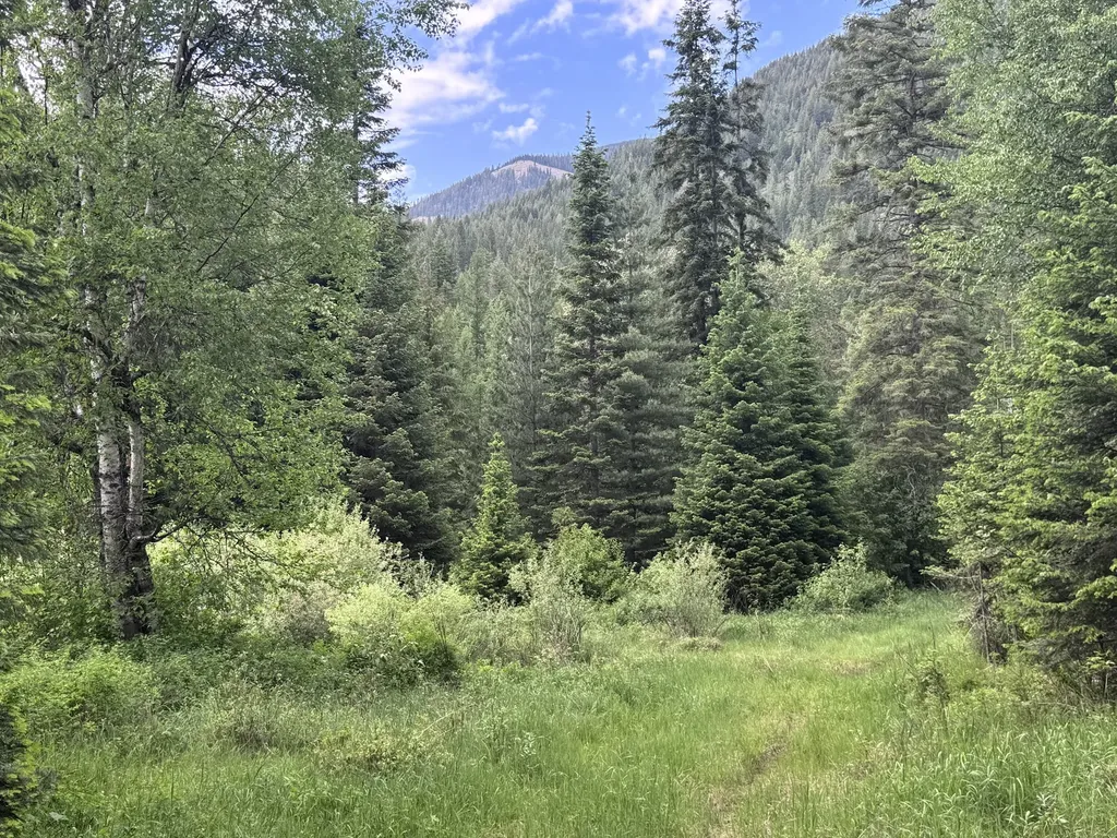 189 Blue Creek Road Heron MT 59844