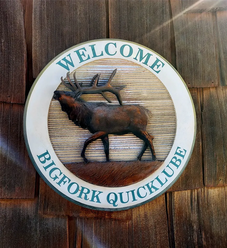 8539 Montana Highway 35 Bigfork MT 59911
