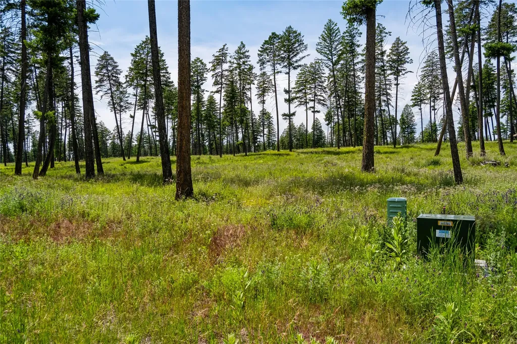 284 Layton Road Whitefish MT 59937