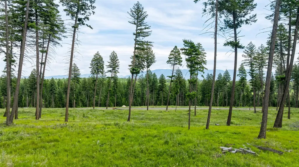 284 Layton Road Whitefish MT 59937