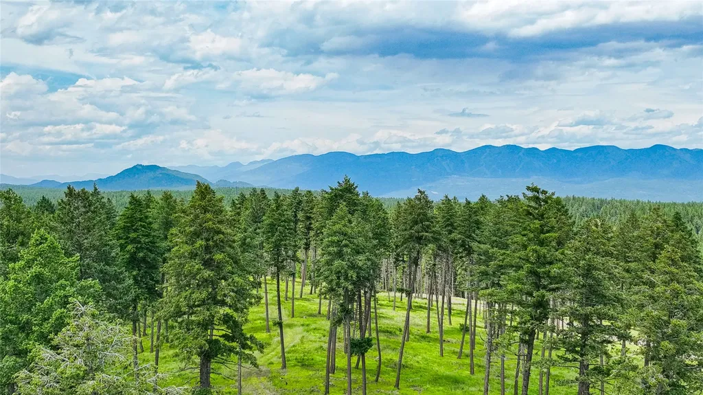 289 Layton Road Whitefish MT 59937