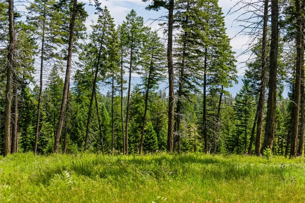 289 Layton Road Whitefish MT 59937