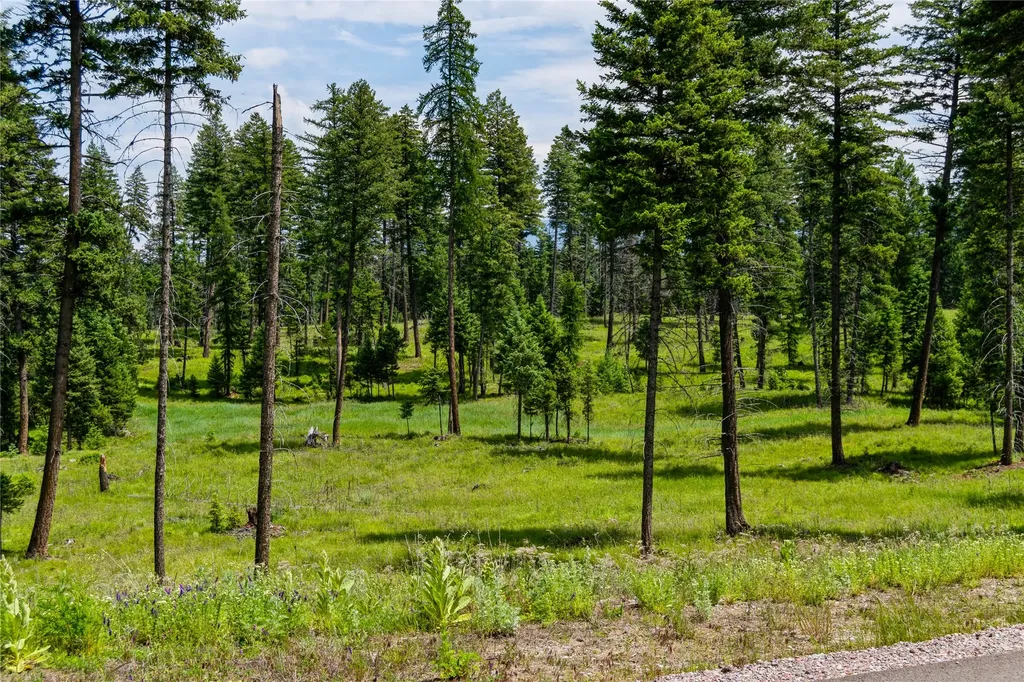 289 Layton Road Whitefish MT 59937