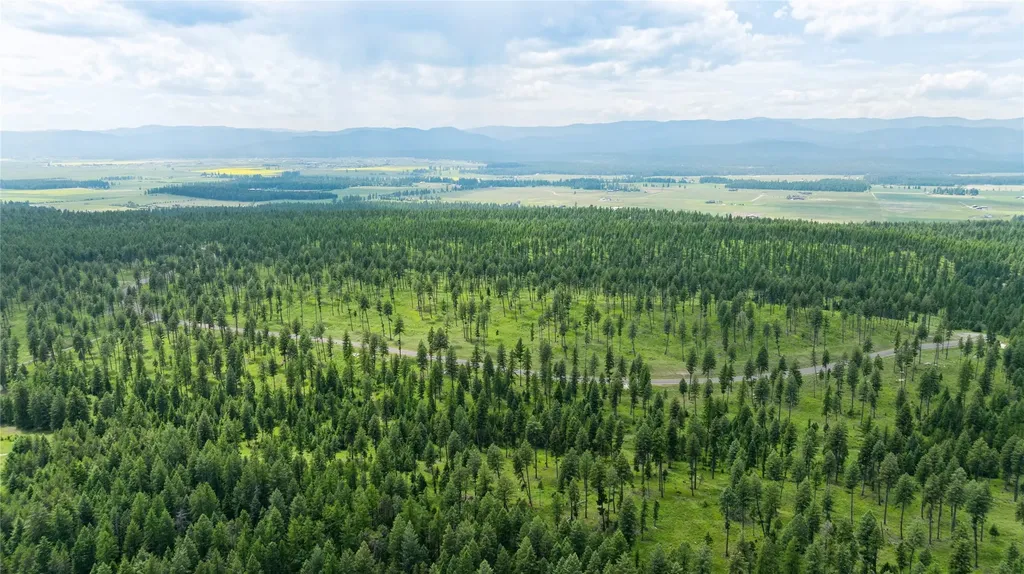 289 Layton Road Whitefish MT 59937