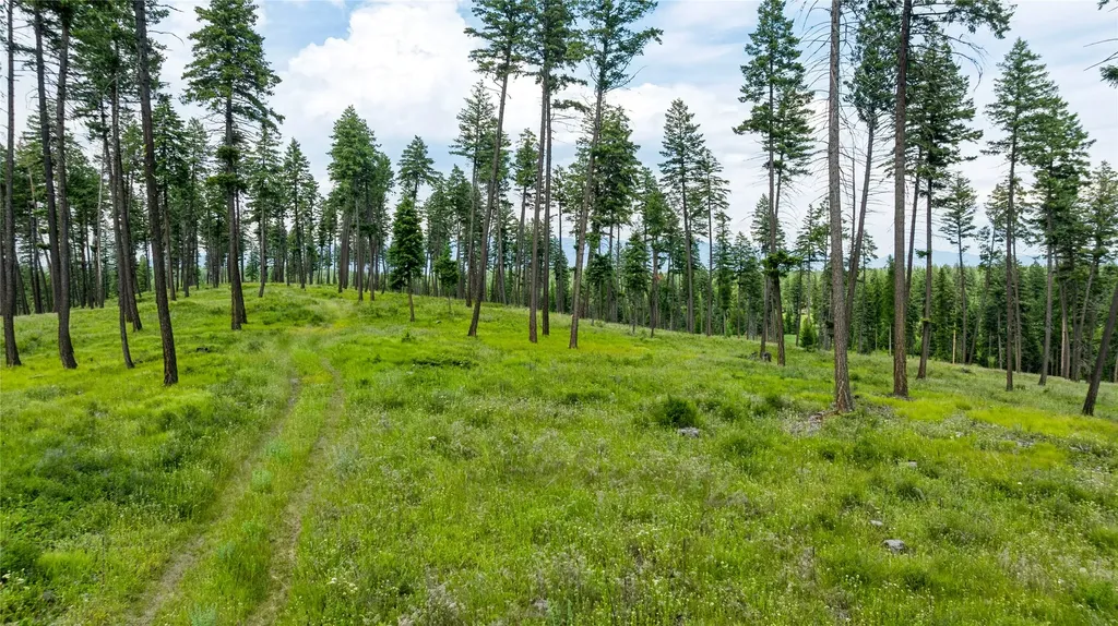 289 Layton Road Whitefish MT 59937