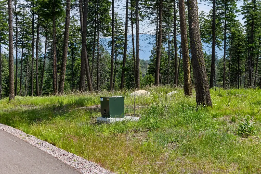 289 Layton Road Whitefish MT 59937