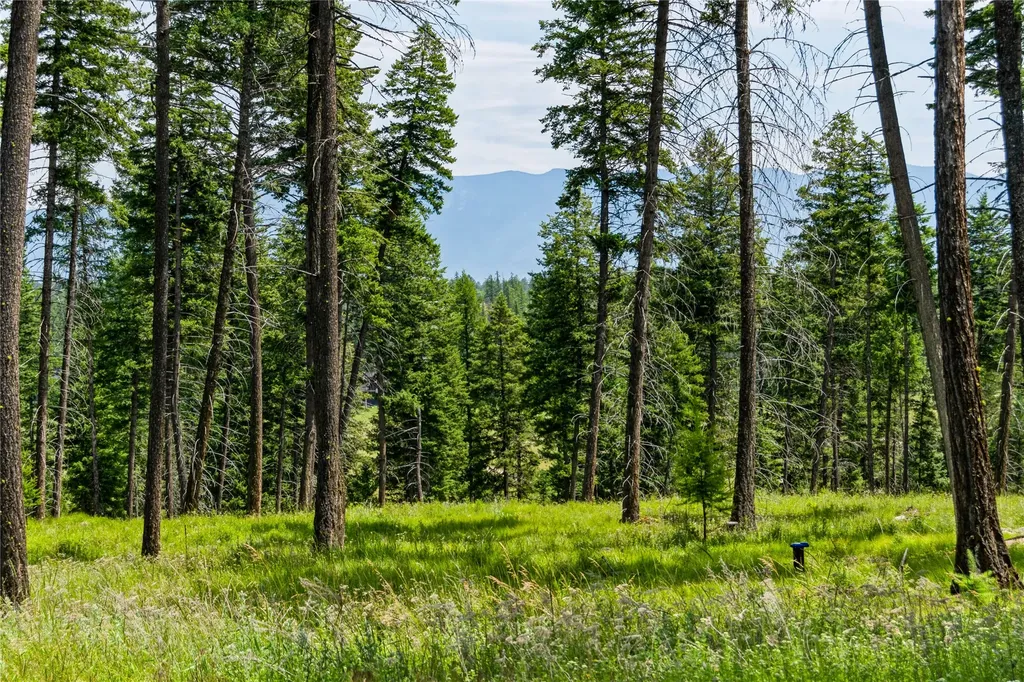 289 Layton Road Whitefish MT 59937