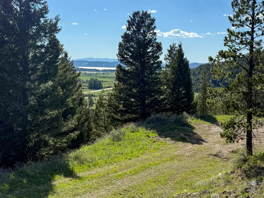 Tbd (5.37+/- Acres) Gold Coin Lane Anaconda MT 59711