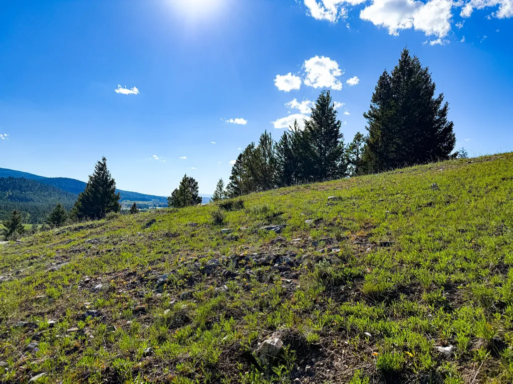 Tbd (5.37+/- Acres) Gold Coin Lane Anaconda MT 59711