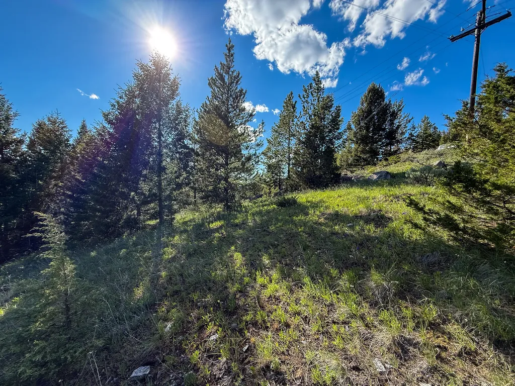 Tbd (5.37+/- Acres) Gold Coin Lane Anaconda MT 59711