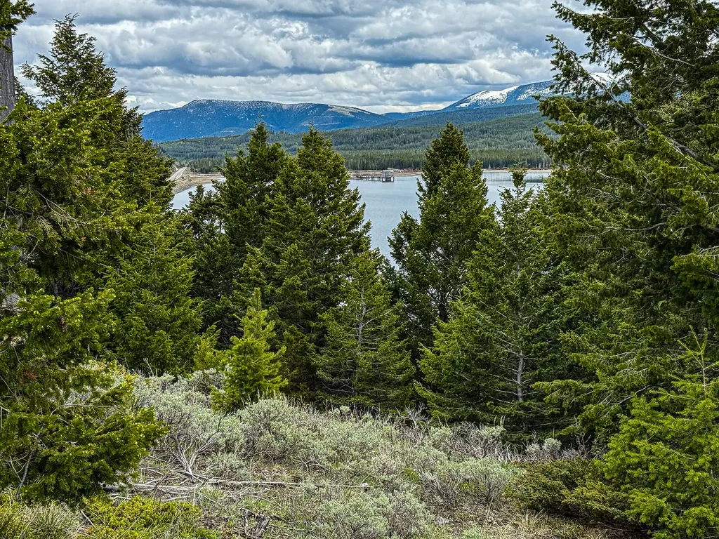 Tbd (5.37+/- Acres) Gold Coin Lane Anaconda MT 59711
