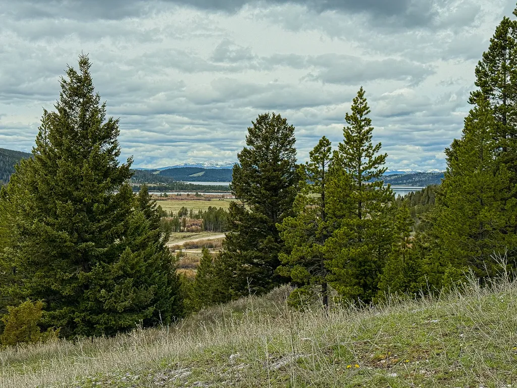 Tbd (5.37+/- Acres) Gold Coin Lane Anaconda MT 59711