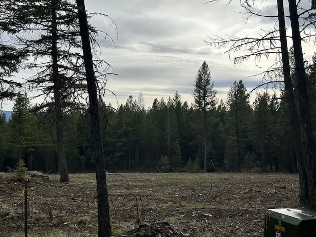 Lot 3 Aspen Glen Road Eureka MT 59917