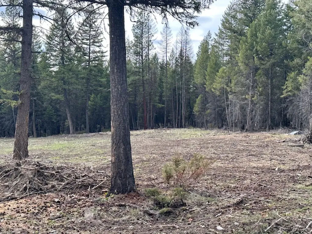 Lot 3 Aspen Glen Road Eureka MT 59917