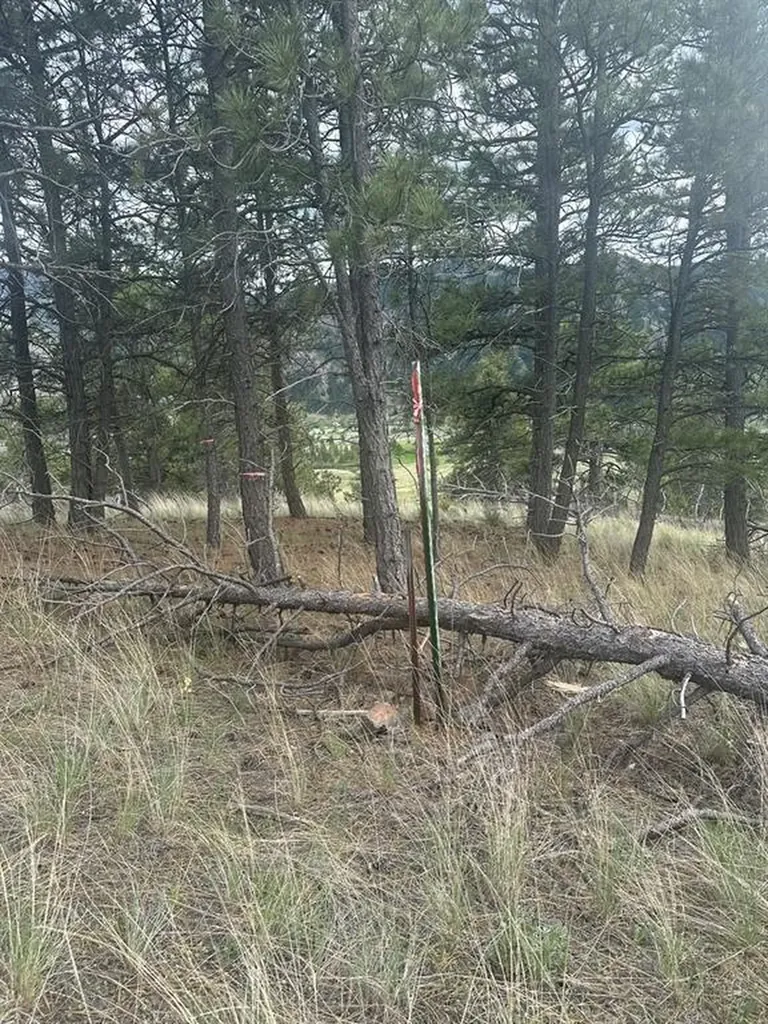 153 Cooper Drive Cascade MT 59421