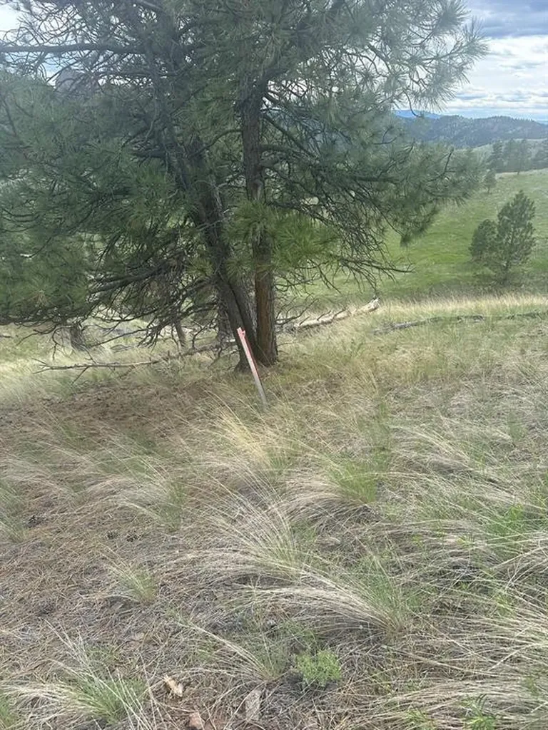 153 Cooper Drive Cascade MT 59421