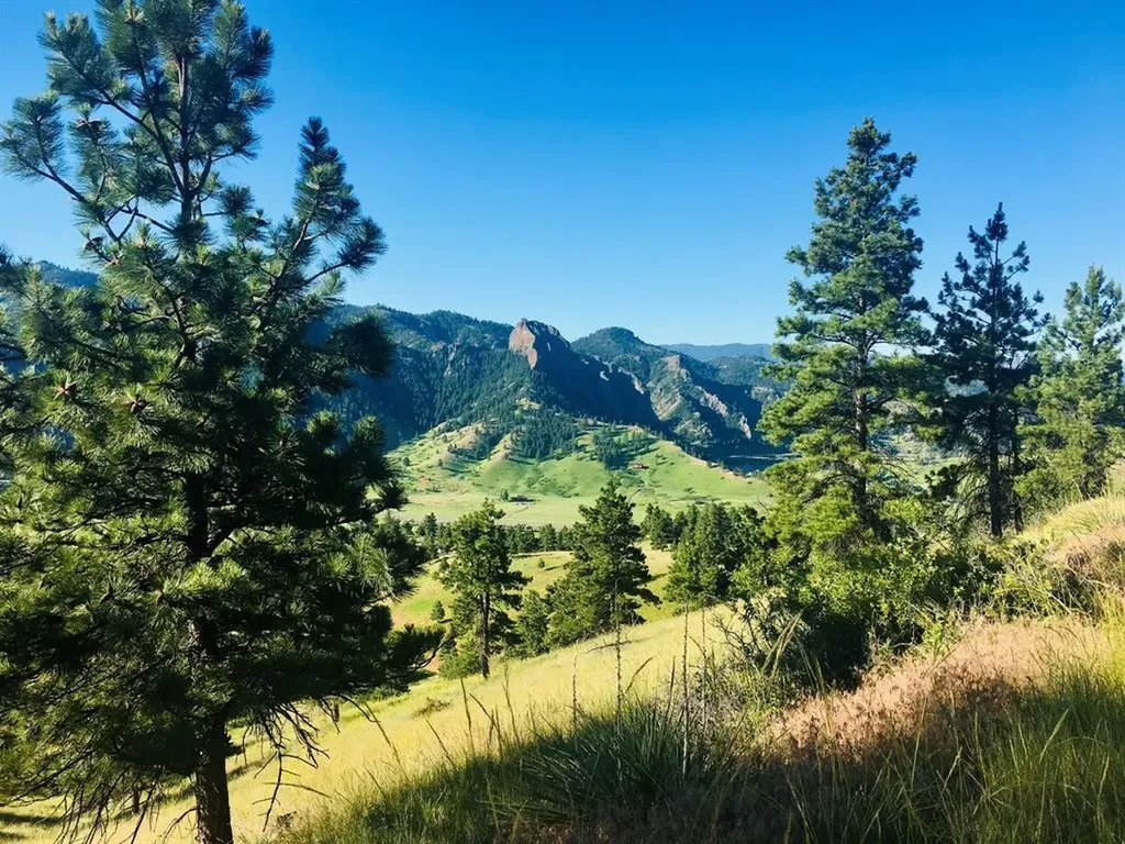 153 Cooper Drive Cascade MT 59421