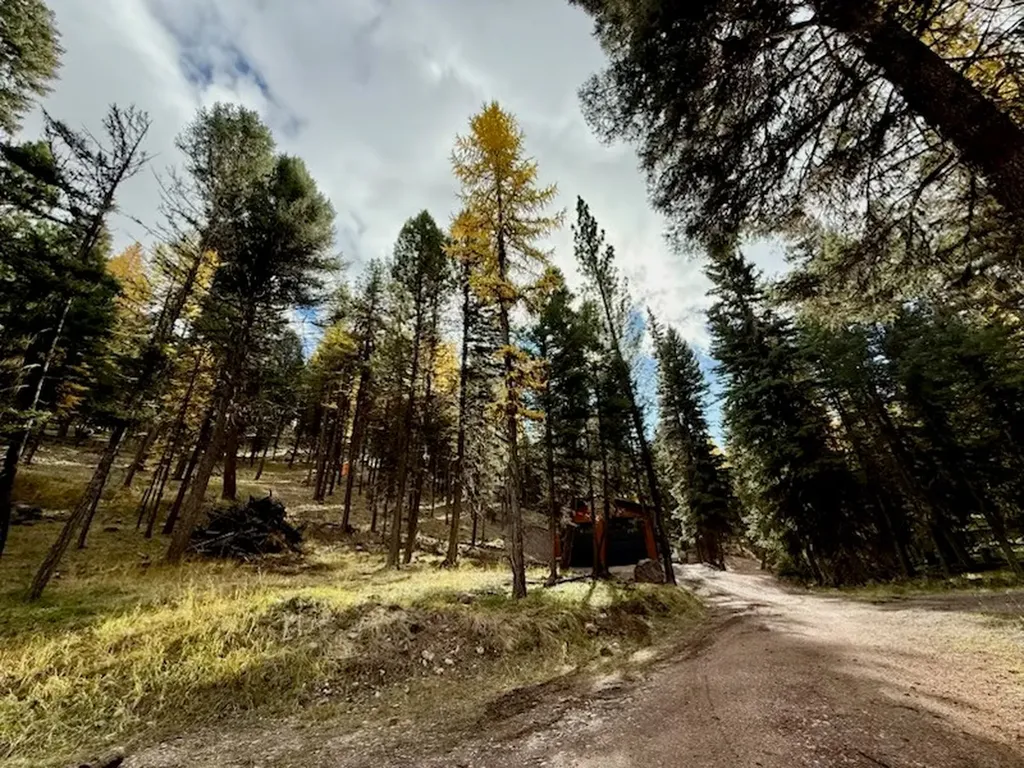 378 Bobcat Lane Seeley Lake MT 59868