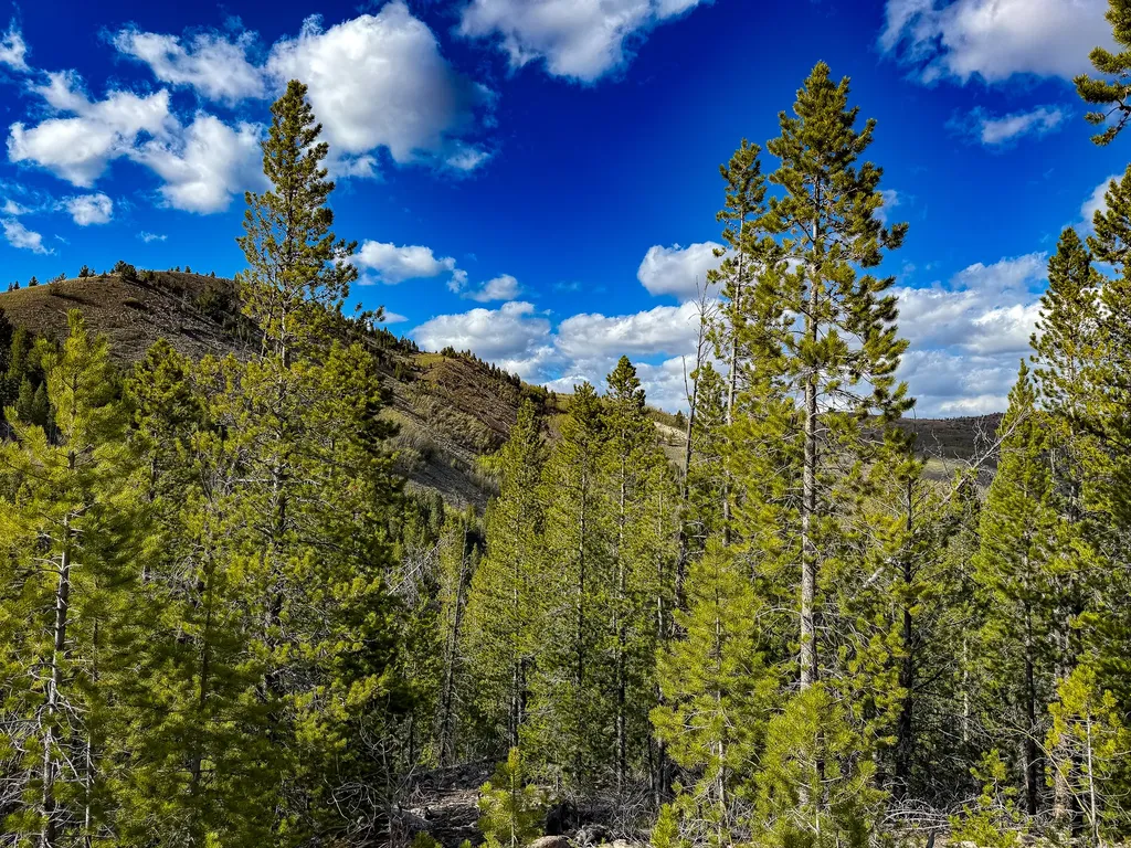 Tbd Silver Creek Trail Anaconda MT 59711