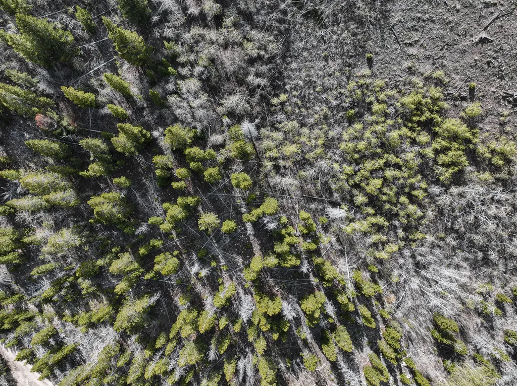 Tbd Silver Creek Trail Anaconda MT 59711