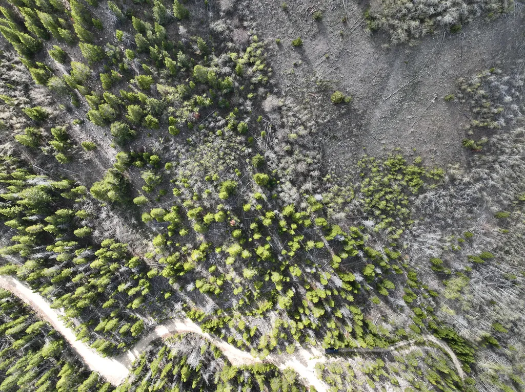 Tbd Silver Creek Trail Anaconda MT 59711