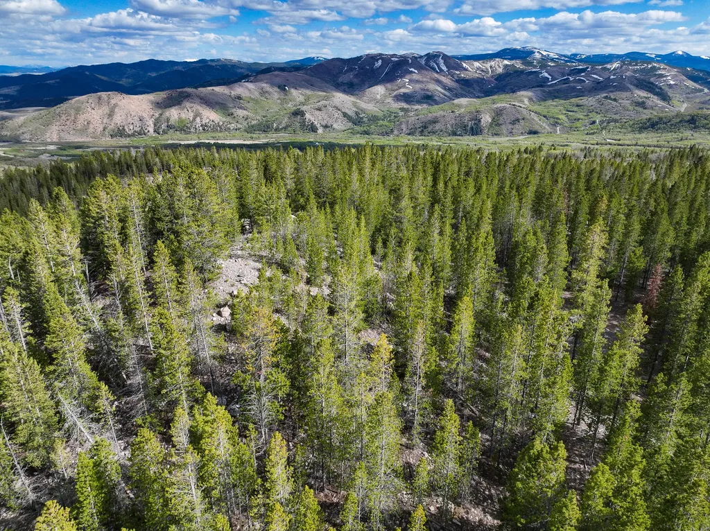 Tbd Silver Creek Trail Anaconda MT 59711