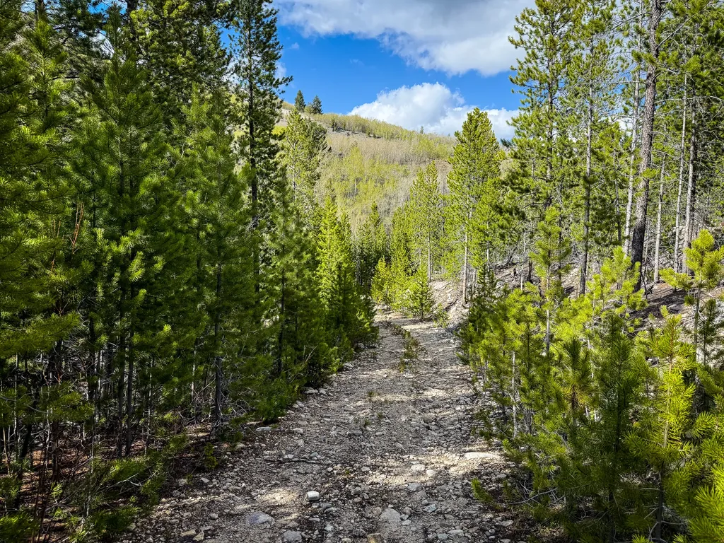 Tbd Silver Creek Trail Anaconda MT 59711