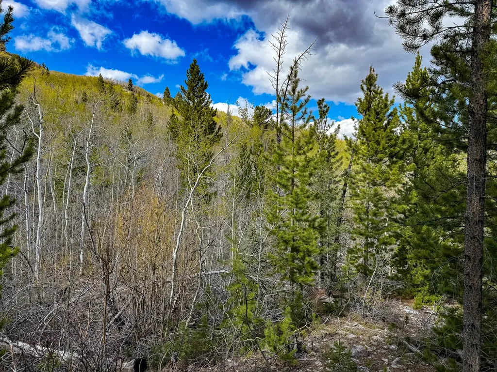 Tbd Silver Creek Trail Anaconda MT 59711