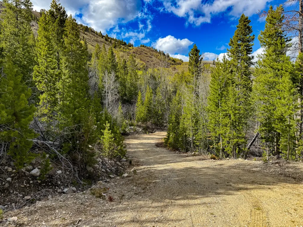 Tbd Silver Creek Trail Anaconda MT 59711