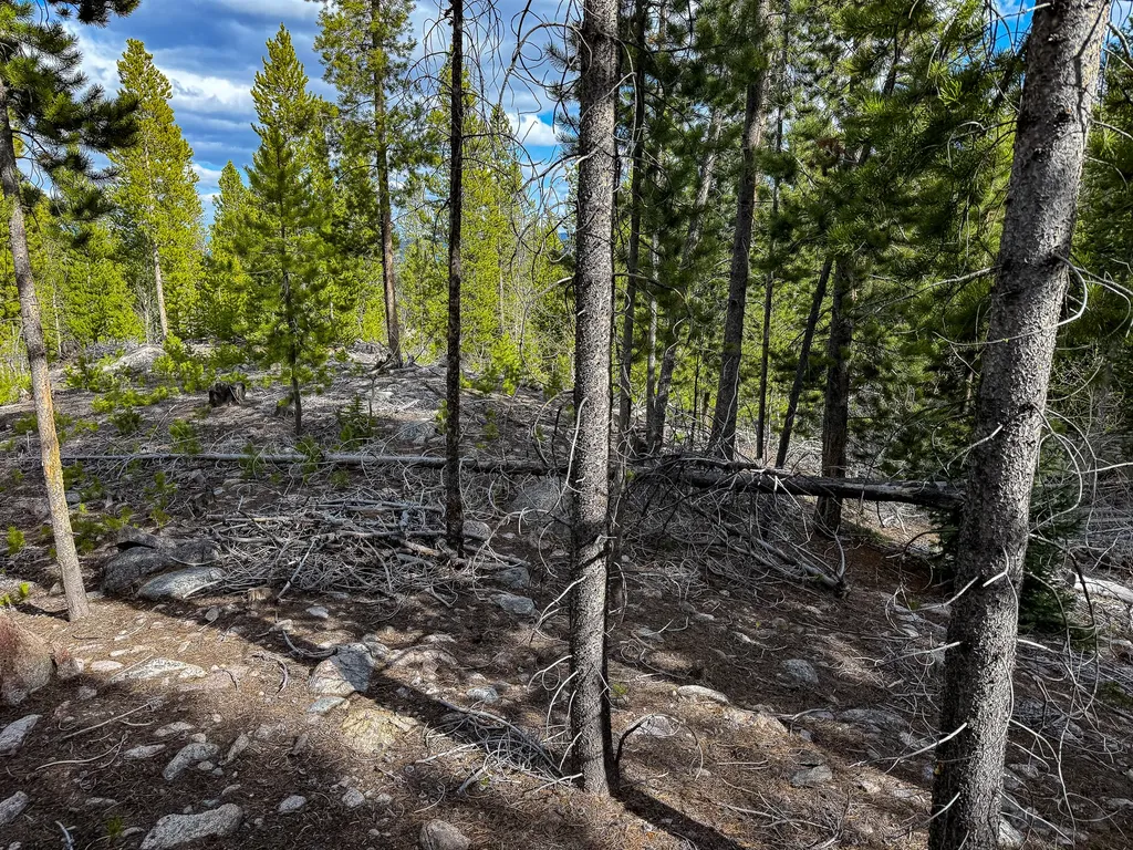Tbd Silver Creek Trail Anaconda MT 59711