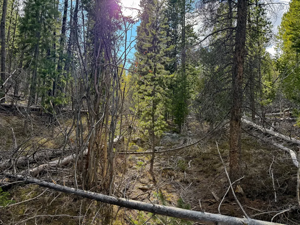 Tbd Silver Creek Trail Anaconda MT 59711