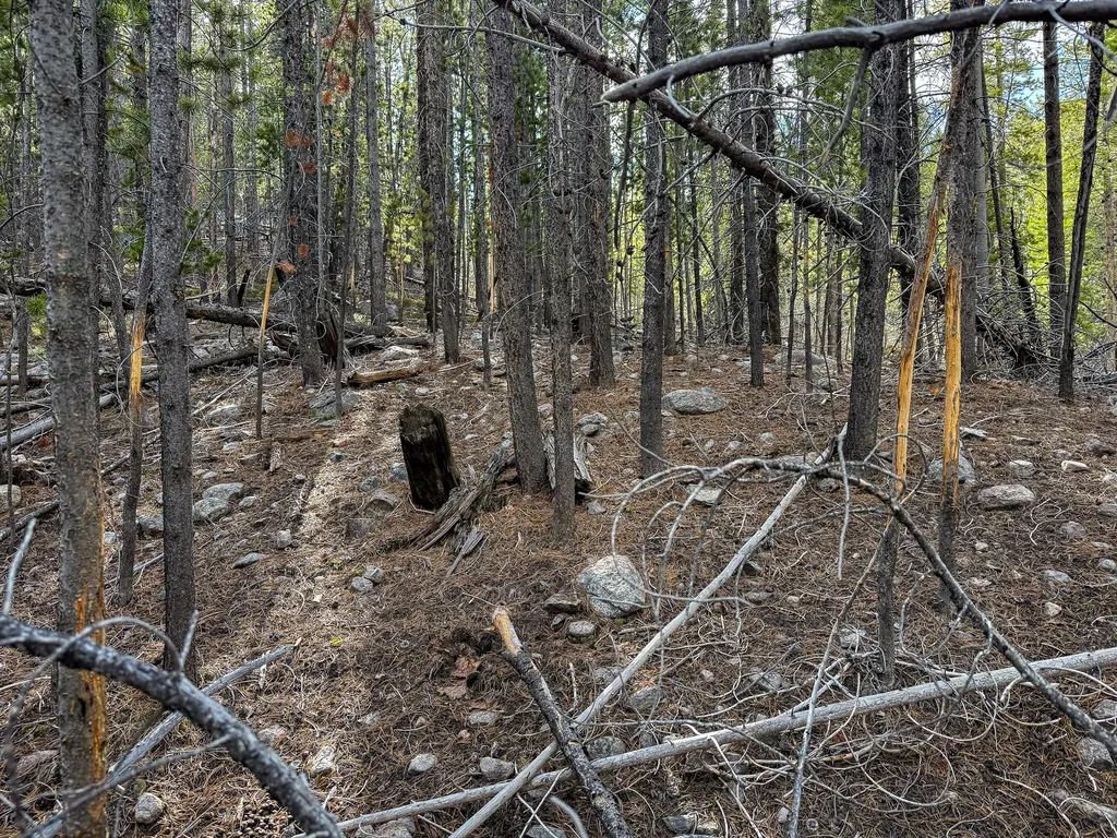 Tbd Silver Creek Trail Anaconda MT 59711