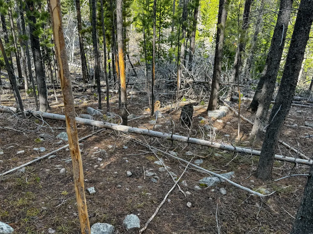 Tbd Silver Creek Trail Anaconda MT 59711