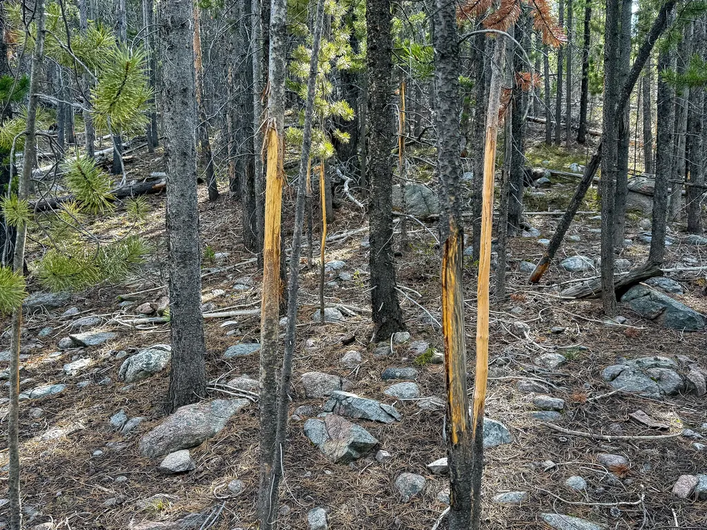 Tbd Silver Creek Trail Anaconda MT 59711