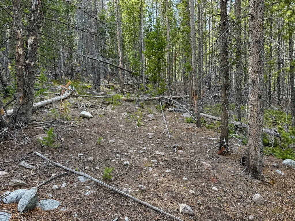 Tbd Silver Creek Trail Anaconda MT 59711
