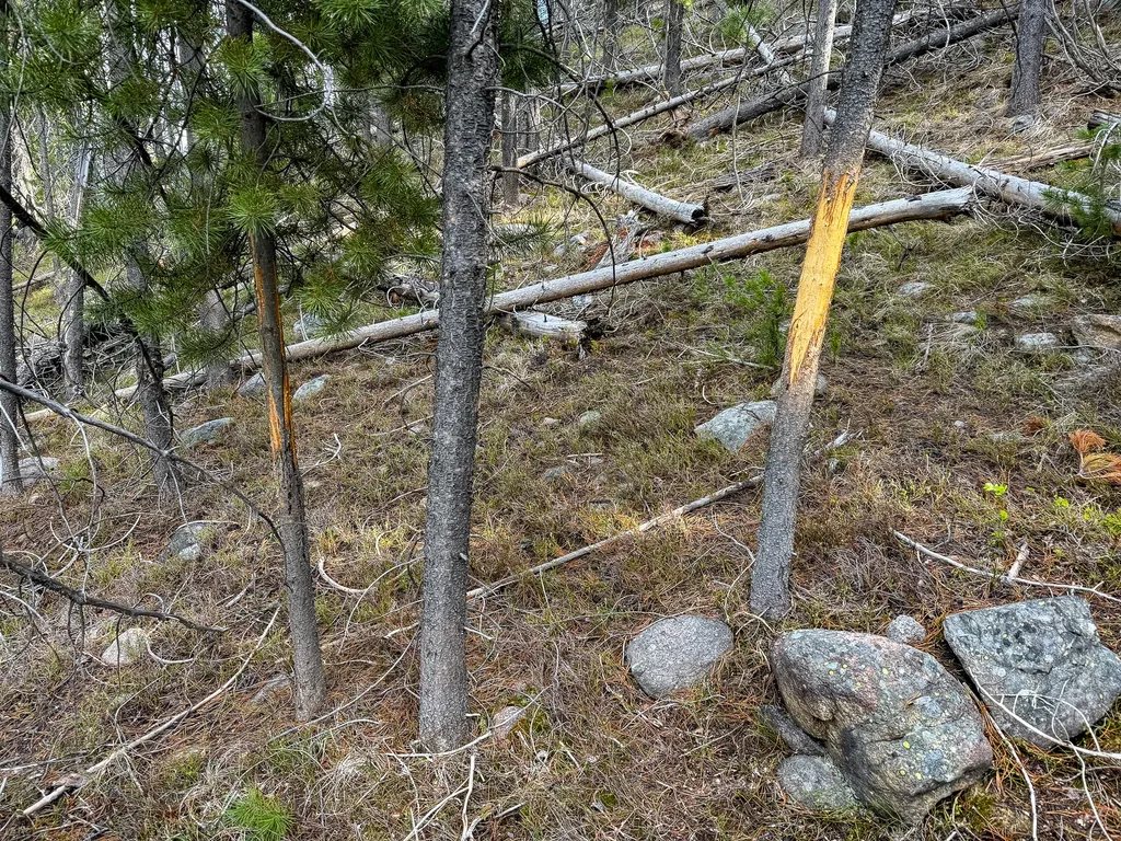 Tbd Silver Creek Trail Anaconda MT 59711