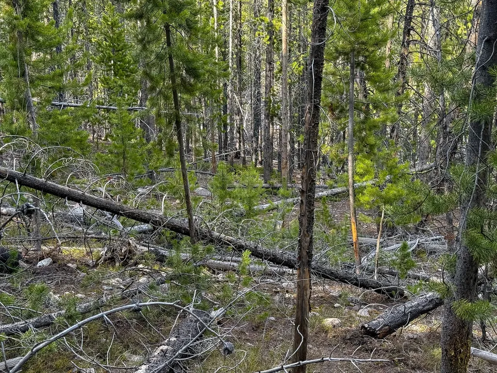 Tbd Silver Creek Trail Anaconda MT 59711