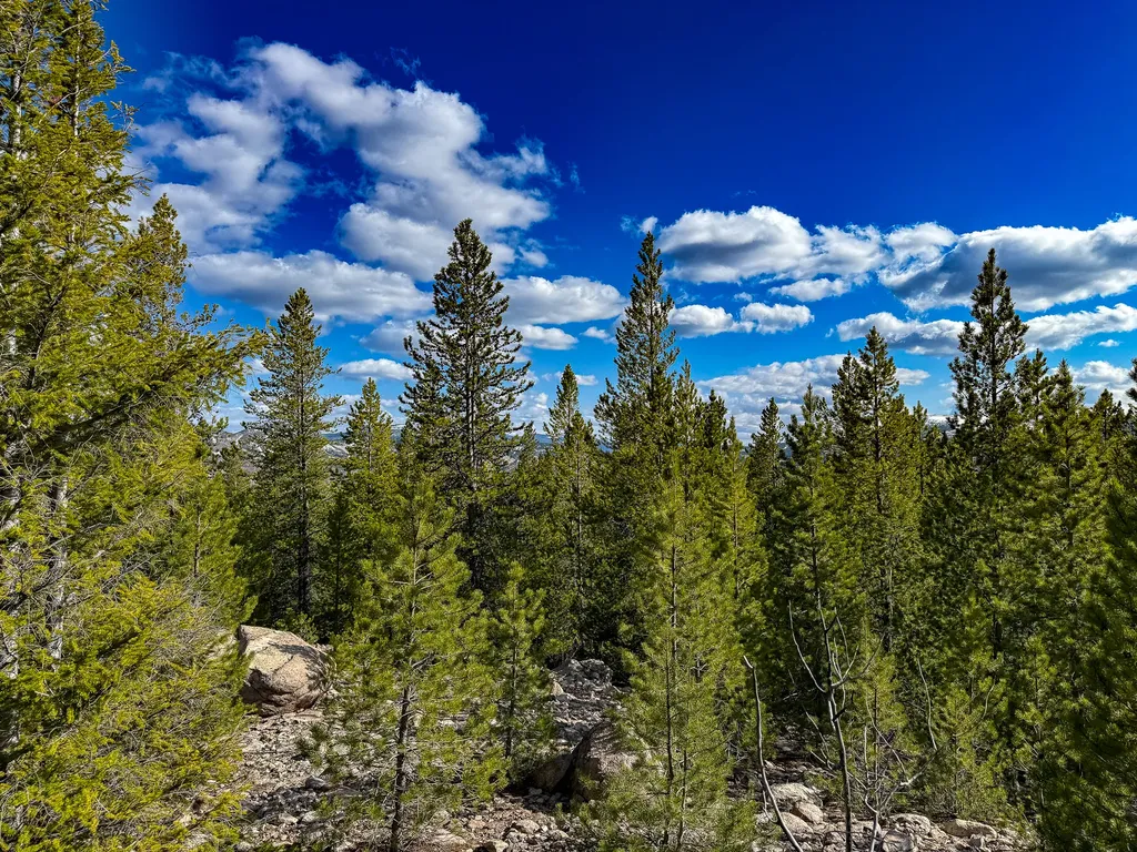 Tbd Silver Creek Trail Anaconda MT 59711