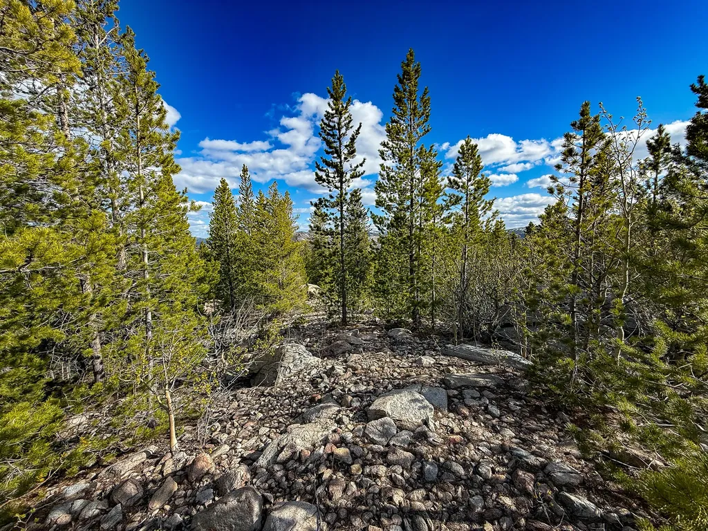 Tbd Silver Creek Trail Anaconda MT 59711