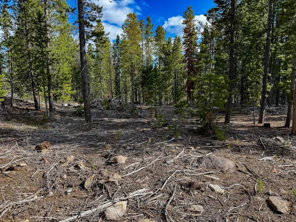 Tbd Silver Creek Trail Anaconda MT 59711