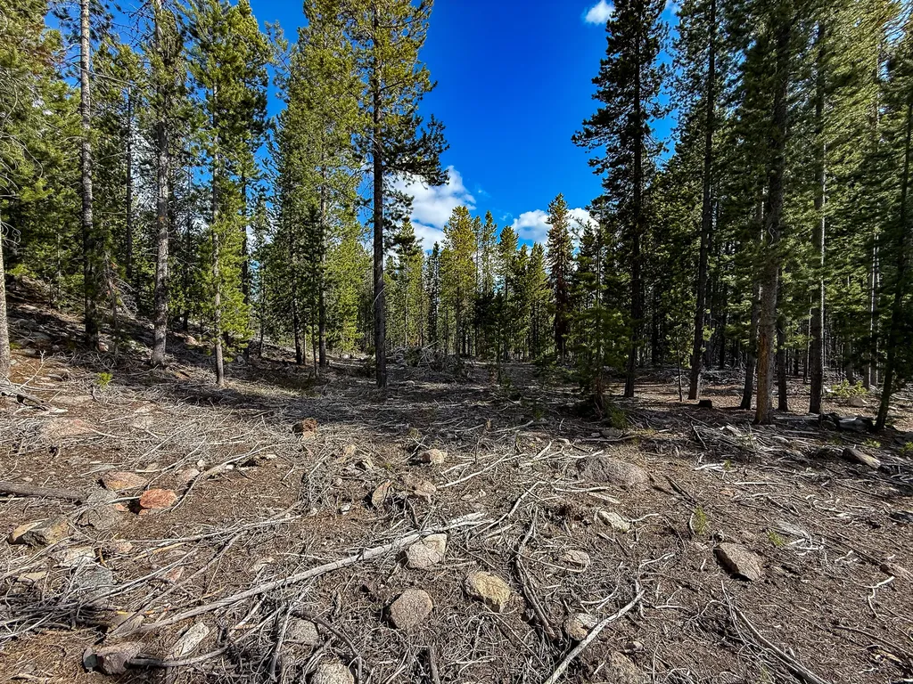 Tbd Silver Creek Trail Anaconda MT 59711