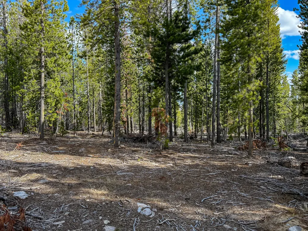 Tbd Silver Creek Trail Anaconda MT 59711