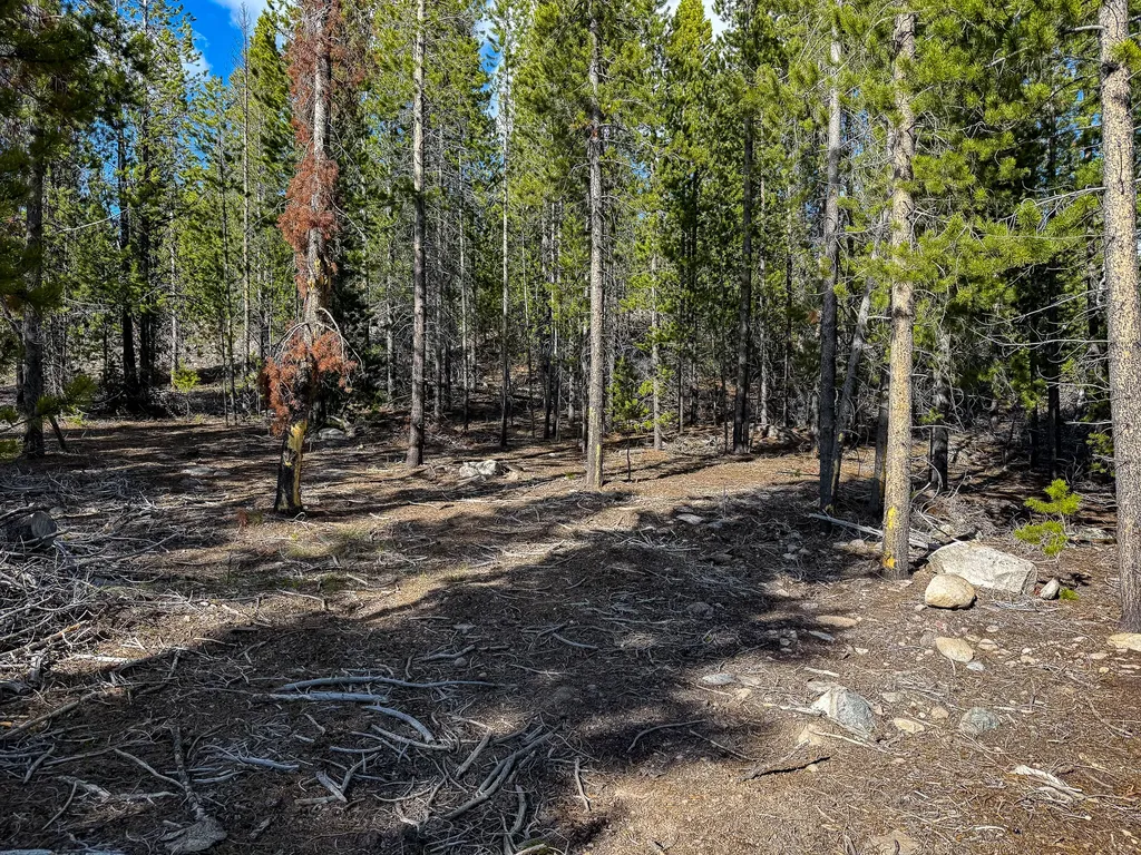 Tbd Silver Creek Trail Anaconda MT 59711