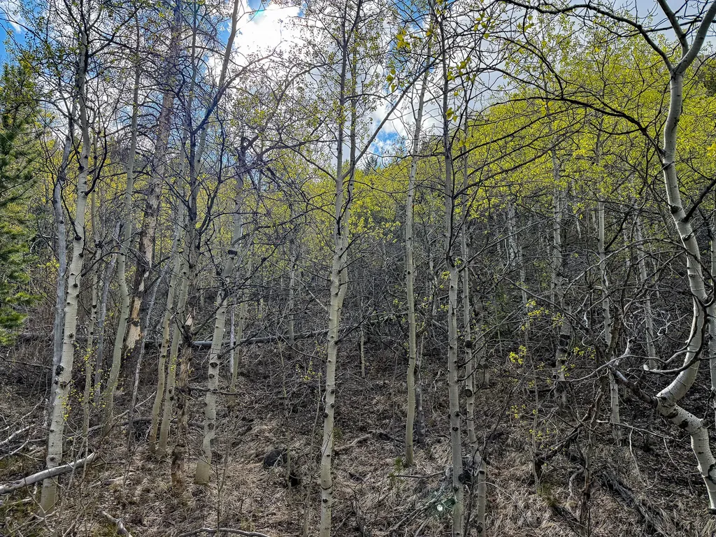 Tbd Silver Creek Trail Anaconda MT 59711